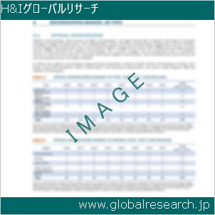 グローバルリサーチ調査レポートのイメージ